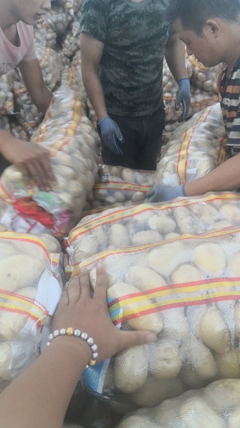 新疆阿克苏土豆，二至四两小土豆，四两起步一级大货