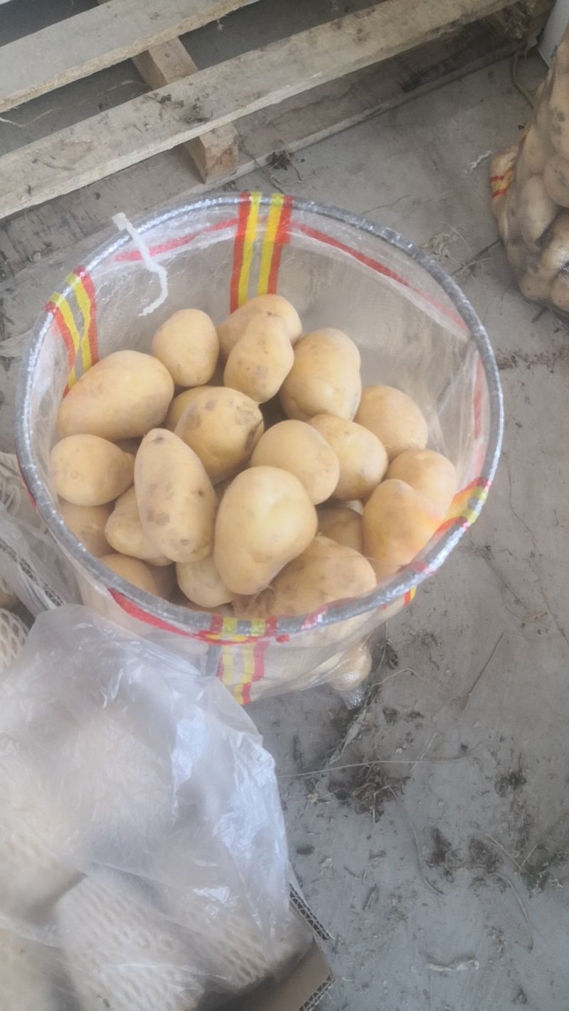 新疆阿克苏土豆，二至四两小土豆，四两起步一级大货