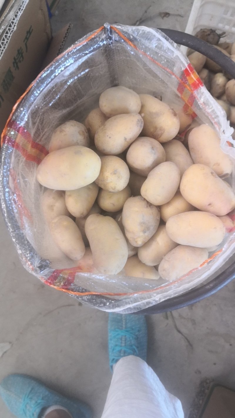 新疆阿克苏土豆，二至四两小土豆，四两起步一级大货