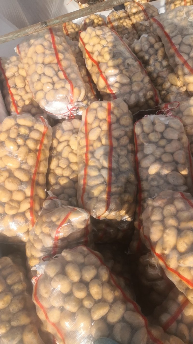 新疆阿克苏土豆，二至四两小土豆，四两起步一级大货