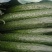 黄瓜，茄子，黄皮辣椒，太空椒，长豆角，云豆