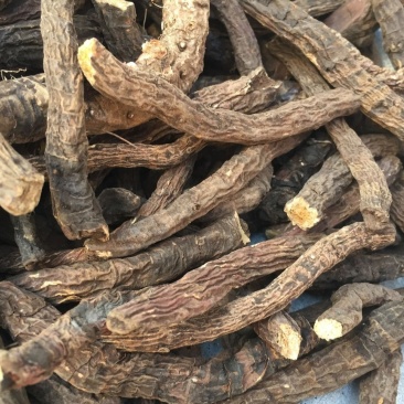 盘龙七,产地直供供道地药材,质优价实,品质保证,药典标准