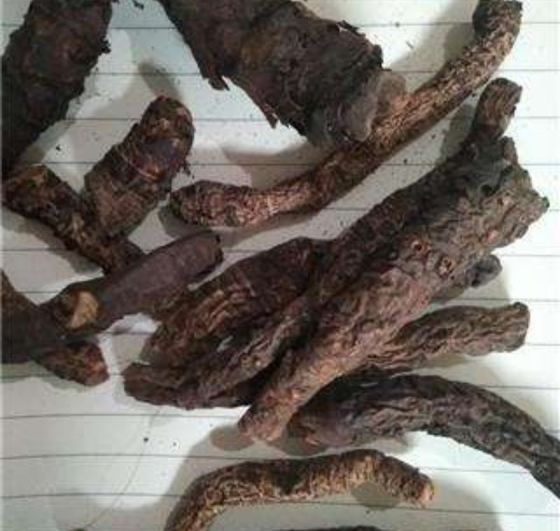 盘龙七，产地直供供道地药材，质优价实，品质保证，药典标准
