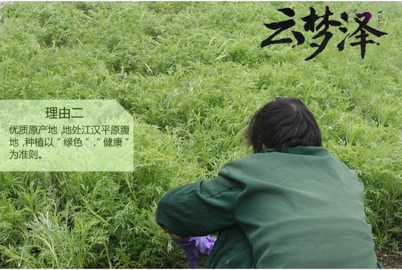 云梦泽湖北特产新鲜泥蒿芦蒿黎蒿篱蒿泥耗黎耗