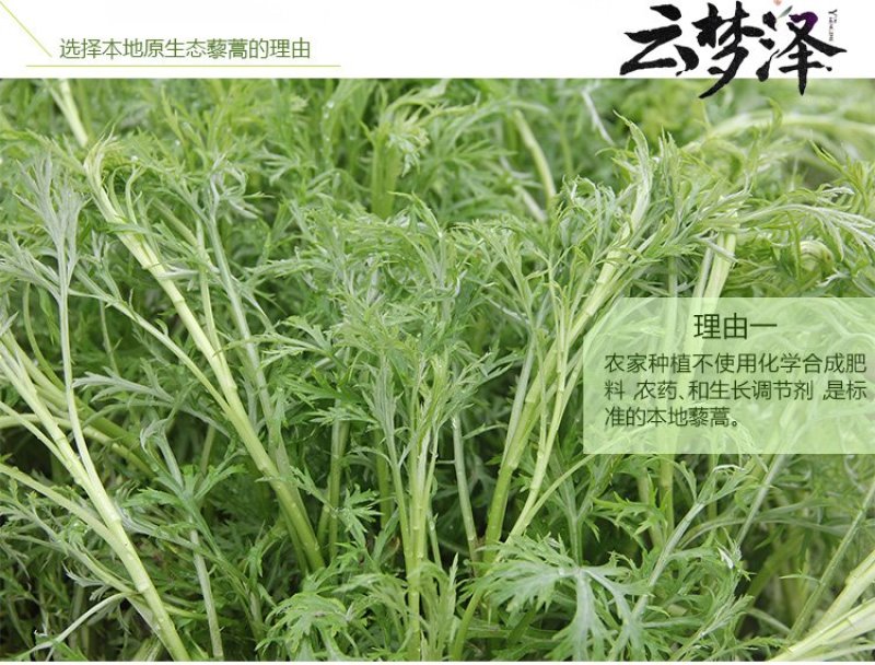云梦泽湖北特产新鲜泥蒿芦蒿黎蒿篱蒿泥耗黎耗