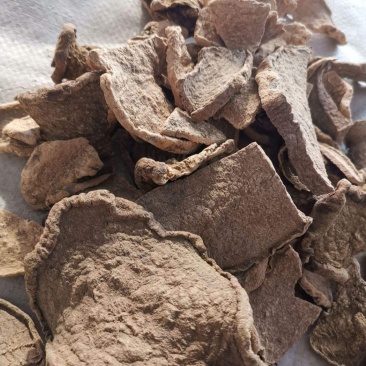 罗锅底，道地药材，质优价实，品质保证，药典标准一公斤起批