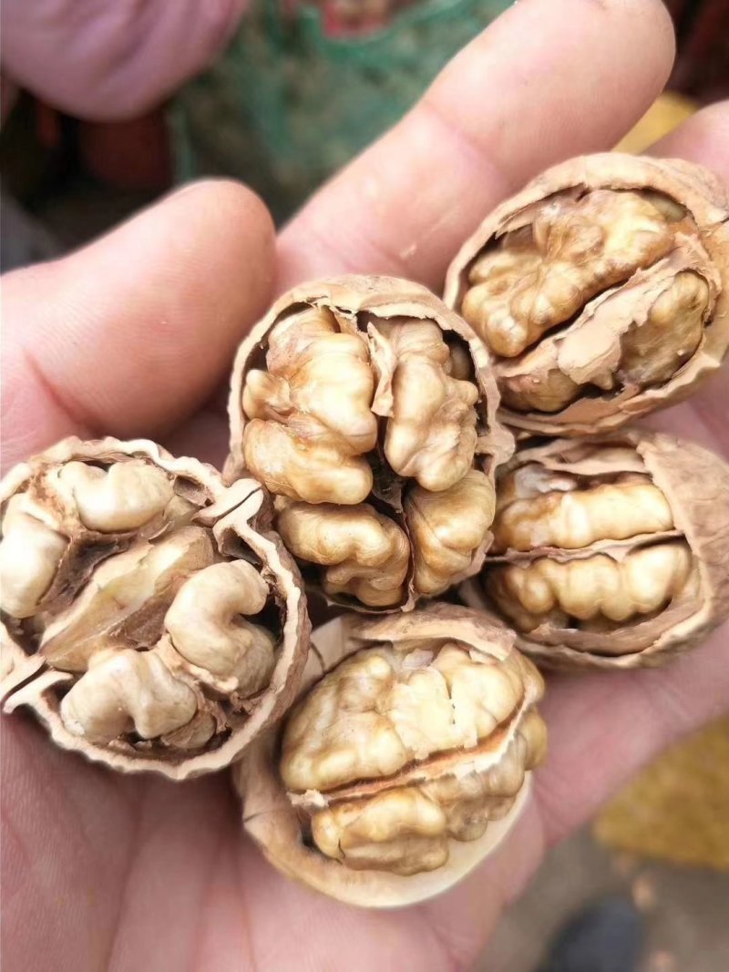 干核桃