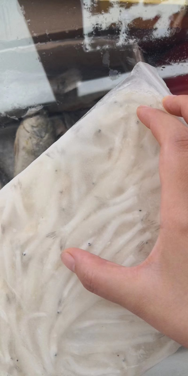 银鱼