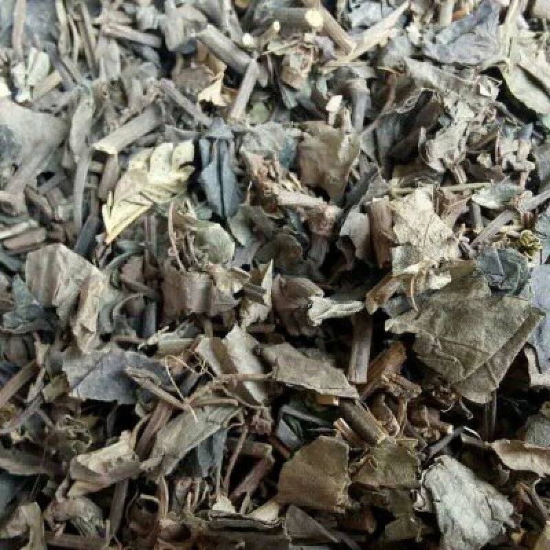 海风藤千余品种供应承接订单