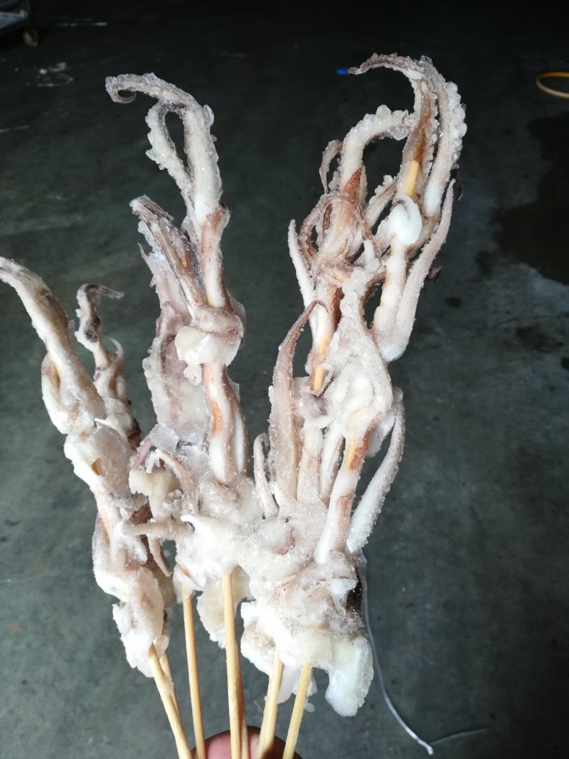 鱿鱼串，鱿鱼，鱿鱼板串，半切鱿鱼串鱿鱼须串