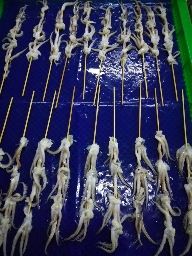 鱿鱼串，鱿鱼，鱿鱼板串，半切鱿鱼串鱿鱼须串