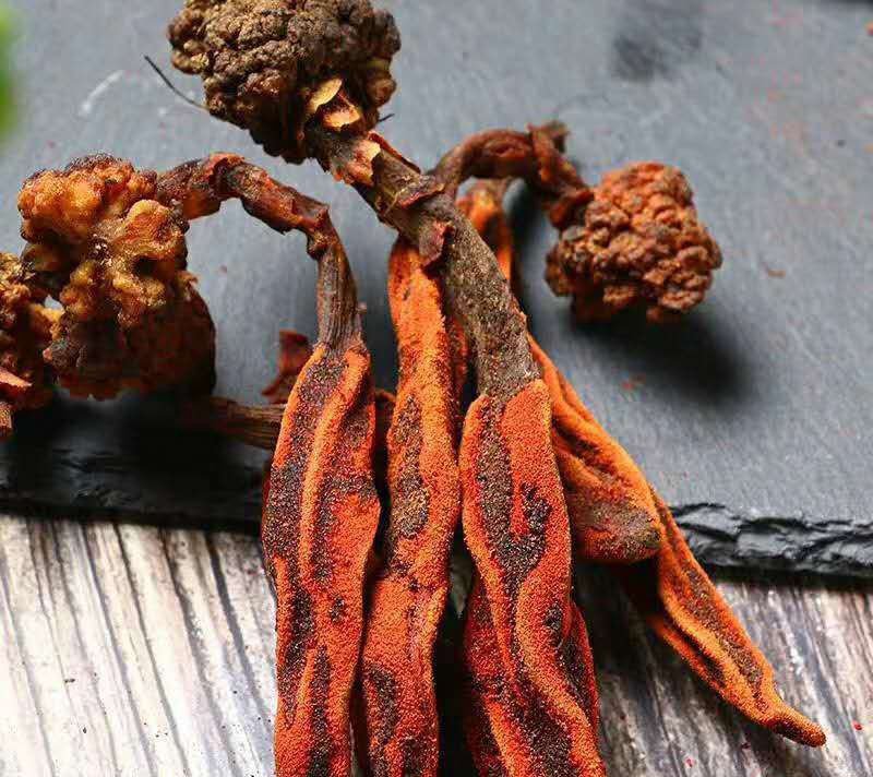 回春草草苁蓉不老草顶天柱专营中药品质保证一手货源