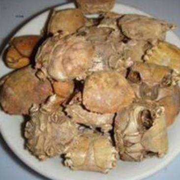 螃蟹甲，道地药材，质优价实，品质保证，药典标准一公斤起批
