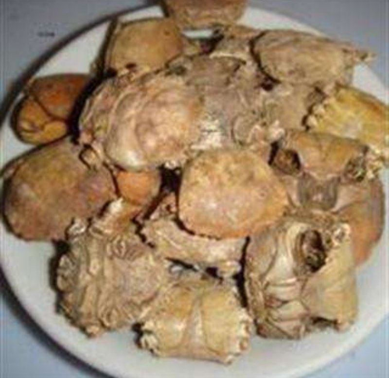 螃蟹甲，道地药材，质优价实，品质保证，药典标准一公斤起批