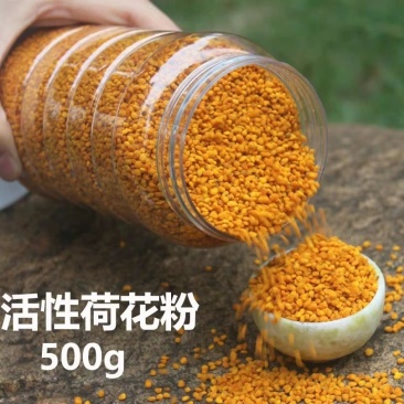农家自产天然荷花花粉正品未破壁莲花花粉PK送花花粉干净纯