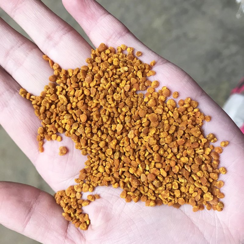 农家自产天然荷花花粉正品未破壁莲花花粉PK送花花粉干净纯
