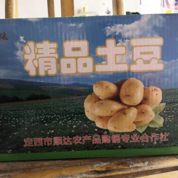 新大坪箱装土豆十斤二十斤包装