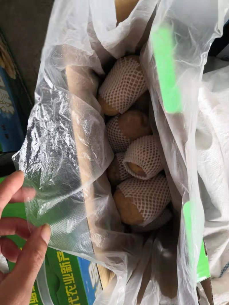 新大坪箱装土豆十斤二十斤包装