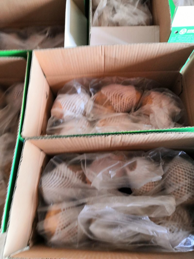 新大坪箱装土豆十斤二十斤包装