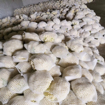 精品有机花菜上市中，量大质优，质量一级，精品，精品