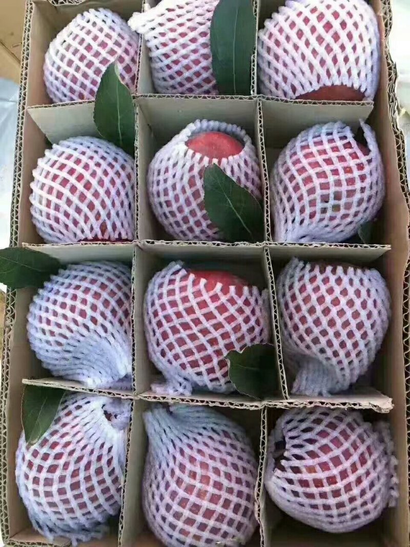 花牛苹果