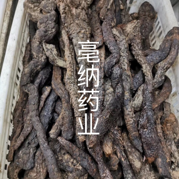 大芸中药材软质肉苁蓉一公斤起批大芸大货批发