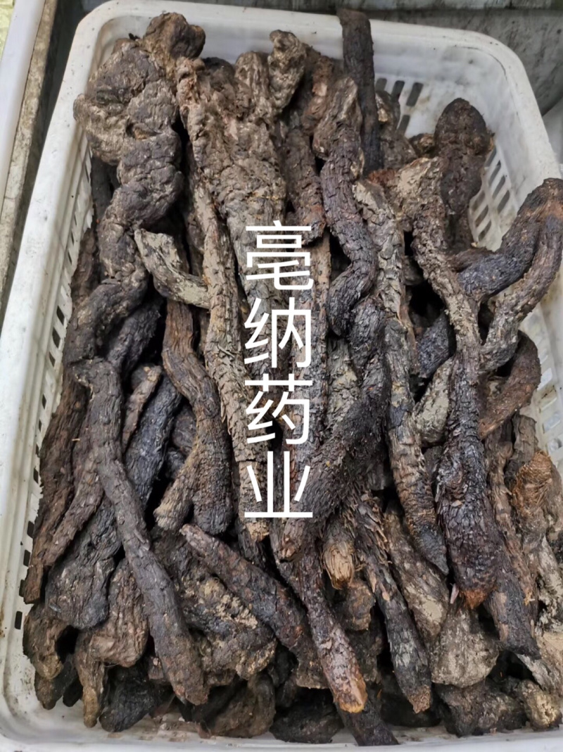 大芸中药材软质肉苁蓉一公斤起批大芸大货批发