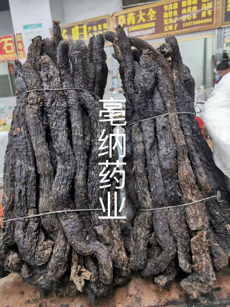 大芸中药材软质肉苁蓉一公斤起批大芸大货批发