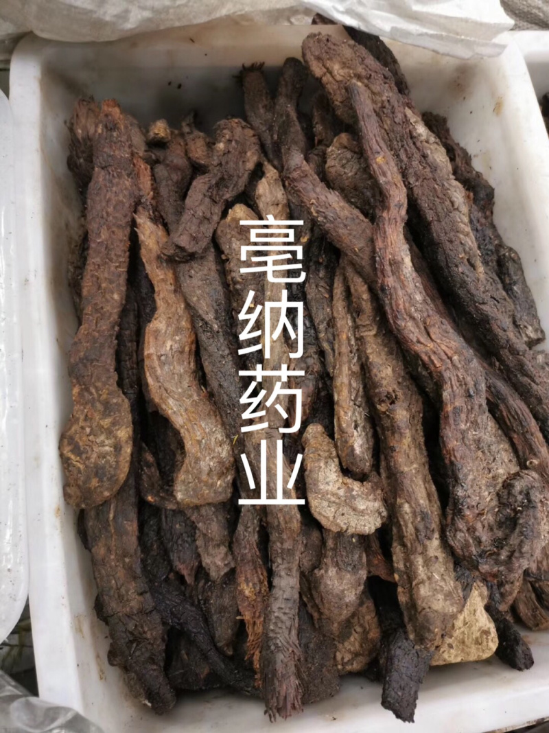 大芸中药材软质肉苁蓉一公斤起批大芸大货批发