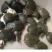 大小规格甲鱼苗，鳖苗水鱼团鱼苗新鲜活包邮