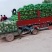 大圆苞菜价格便宜质量好。