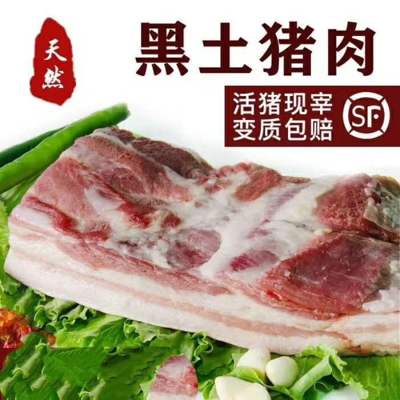黑猪肉生肉真空包装顺丰包邮