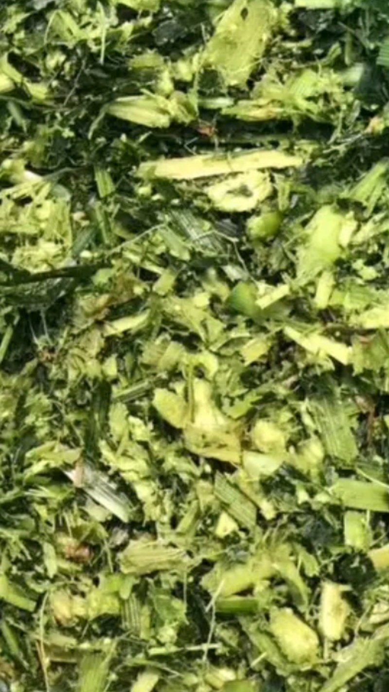 青储，黄储，