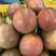 紫香百香果/台农百香果☞一件也包邮5斤装/10斤装