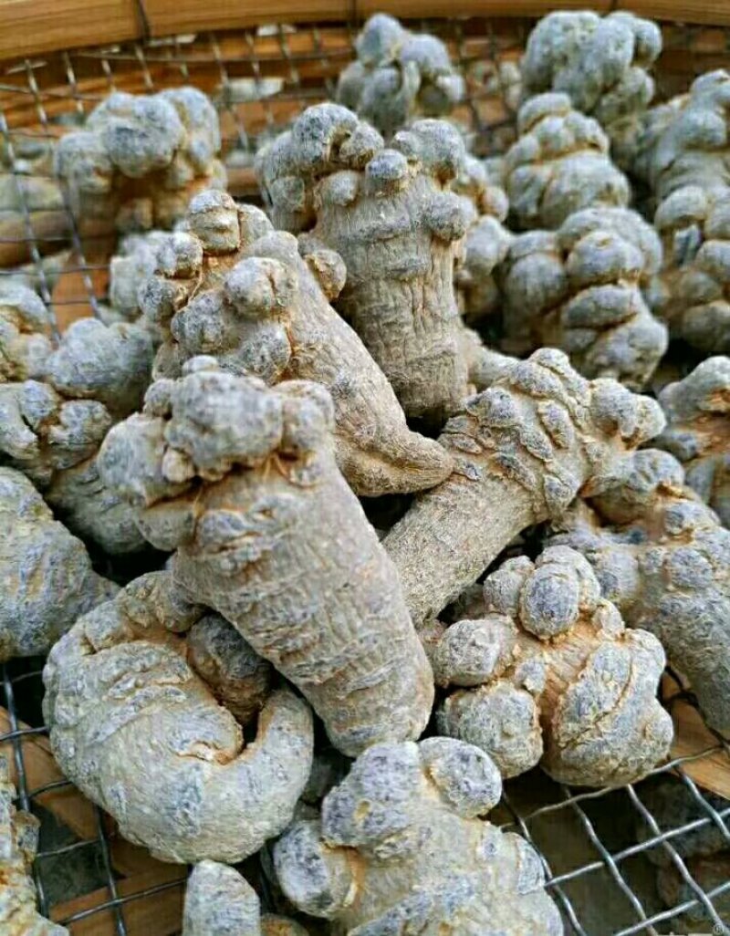 精品三七正宗欢迎联系合作