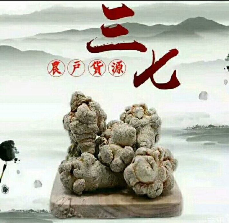 精品三七正宗欢迎联系合作