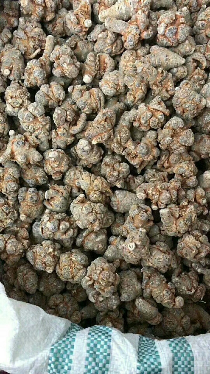 精品三七正宗欢迎联系合作