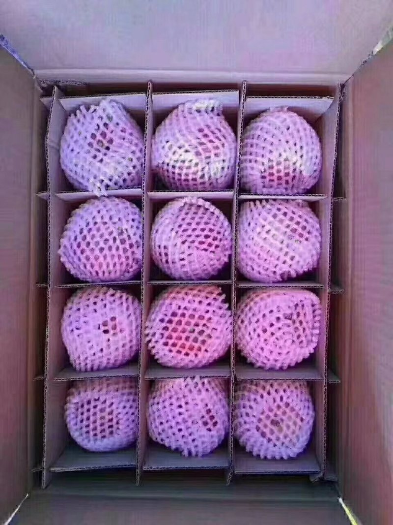 礼县花牛苹果