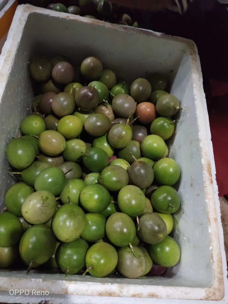 百香果大量有货