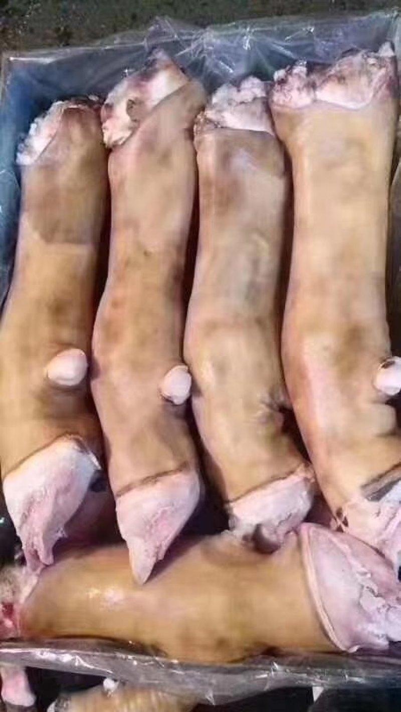 火烧牛蹄价格合适质量稳定