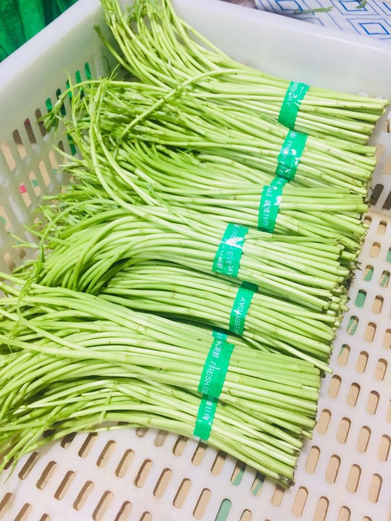 藜蒿新鲜去叶带叶泥蒿芦蒿湖北芦蒿发全国采购可开发票