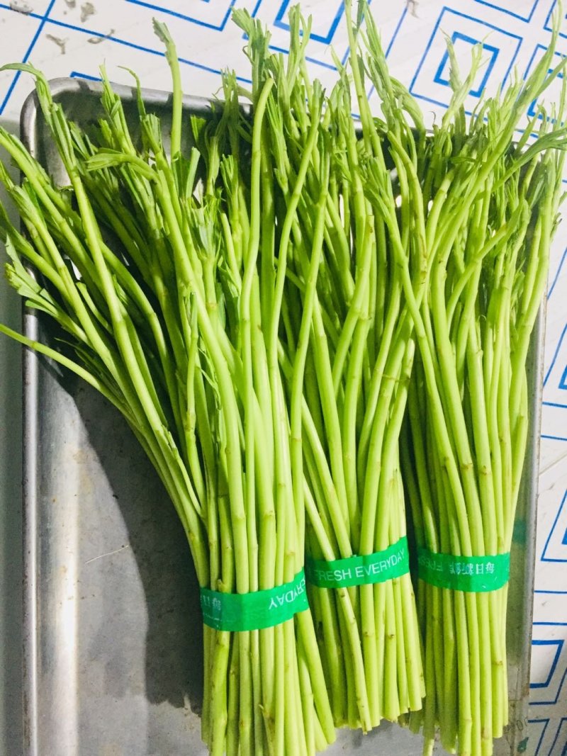藜蒿新鲜去叶带叶泥蒿芦蒿湖北芦蒿发全国采购可开发票