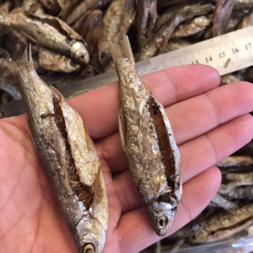 油炸鱼蓝刀鱼干小白条小鱼干无盐鱼干