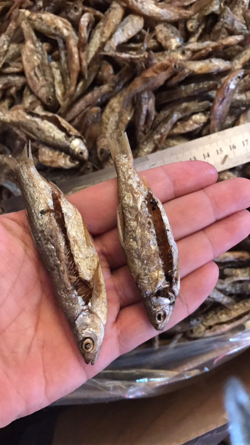 油炸鱼蓝刀鱼干小白条小鱼干无盐鱼干