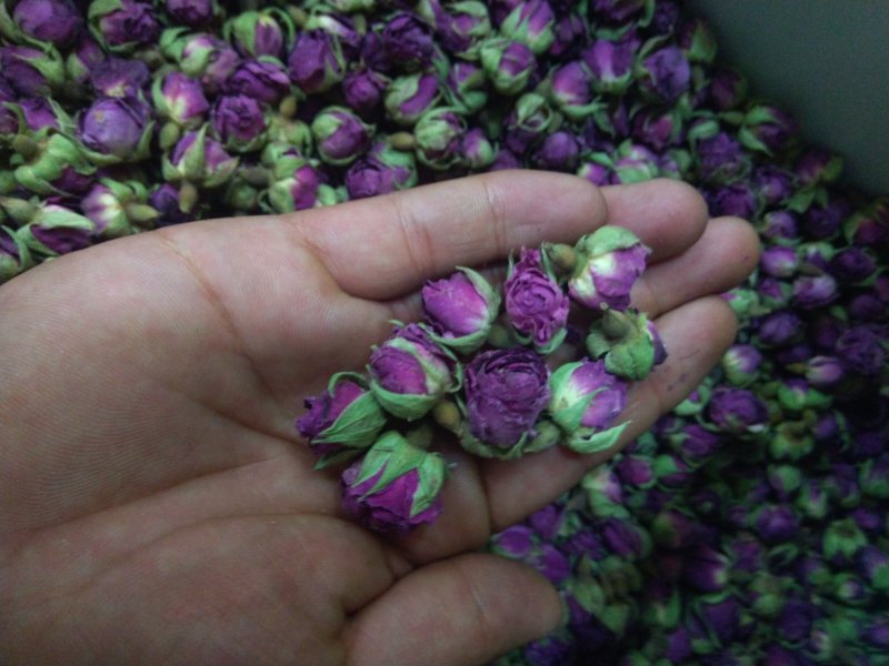 玫瑰花茶新疆和田精选玫瑰花茶