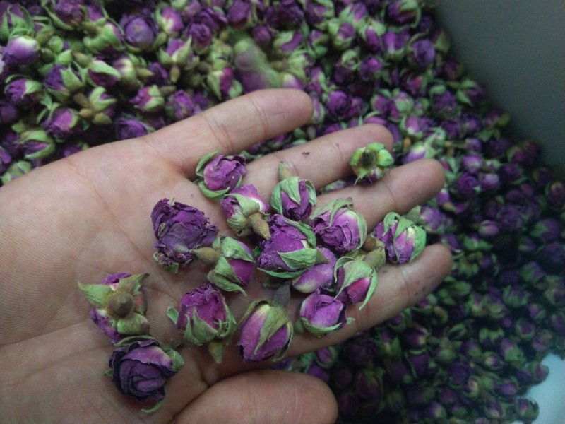 玫瑰花茶新疆和田精选玫瑰花茶