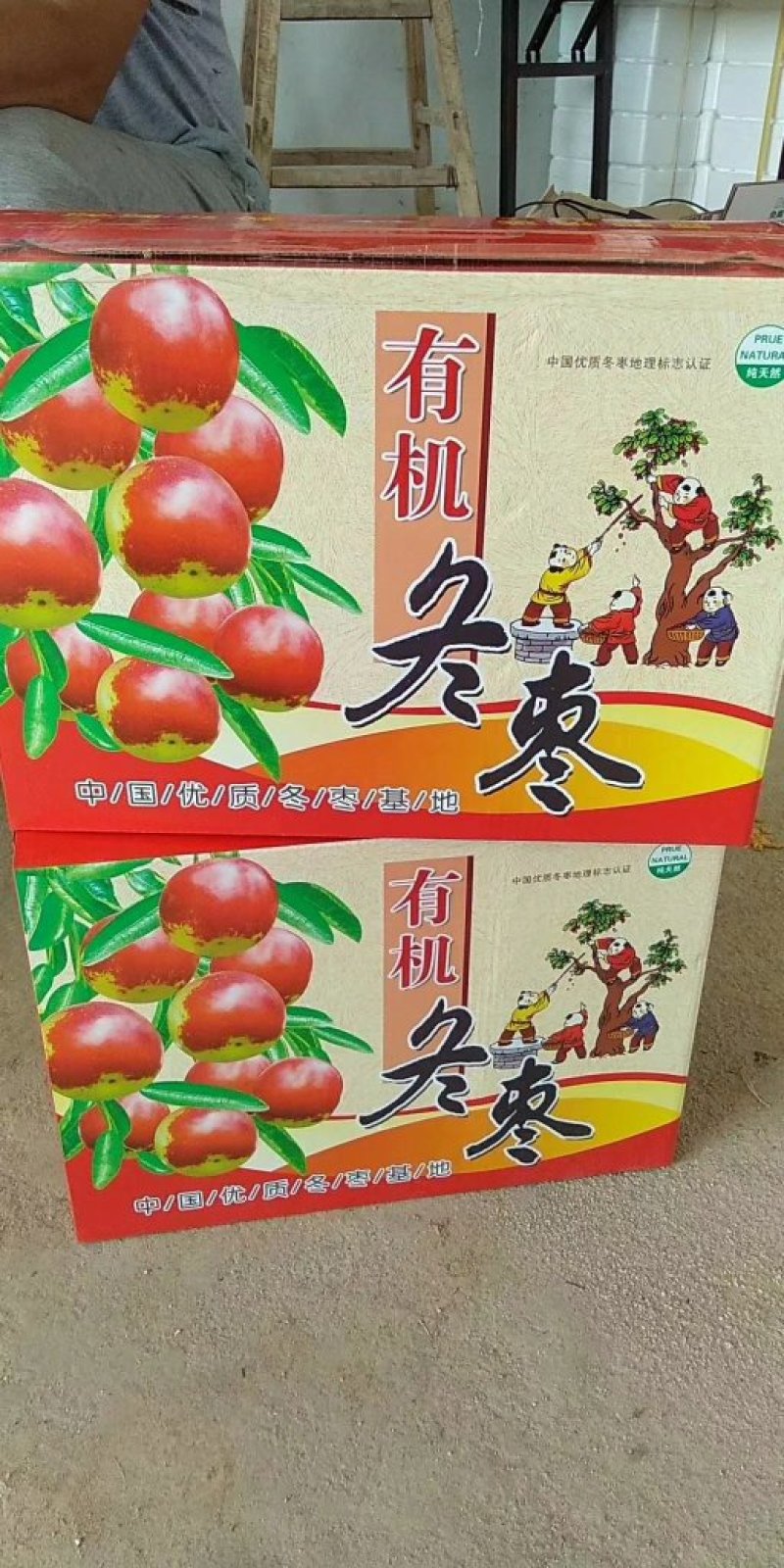沾化冬枣，代收，代办