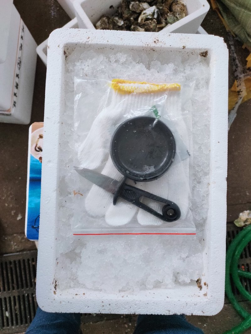 生蚝家庭礼品装5斤装工具齐全