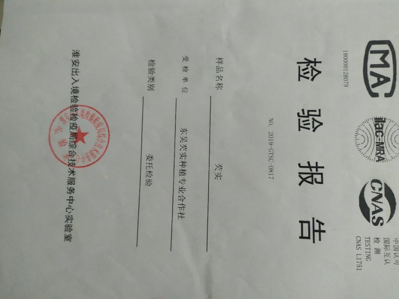 苏芡，手工米，机械加工大中小鲜米
