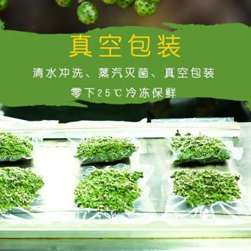 袋装青花椒，一手货源，货源稳定，欢迎新老顾客电话咨询